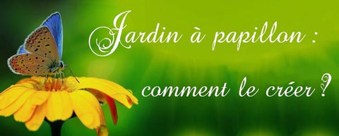 Comment attirer les papillons dans son jardin ?