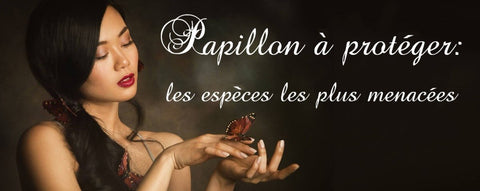 Papillon à protéger: Les papillons en voie de disparition | Rêve de Papillon
