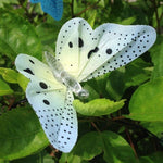 Veilleuse papillon pour jardin - Rêve de Papillon
