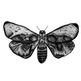 Tatouage papillon éphémère tête de mort - Rêve de Papillon