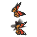 Tatouage Temporaire Papillon Monarque 3D - Rêve de Papillon